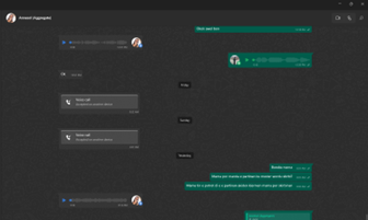 Another project screenshot 1